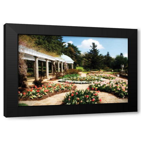 Spring Formality I Black Modern Wood Framed Art Print by Hausenflock, Alan