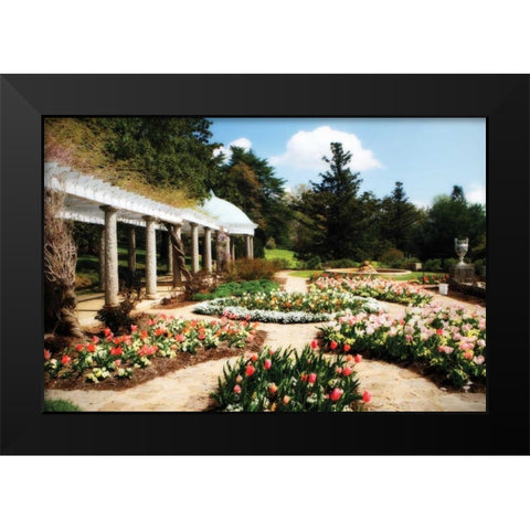 Spring Formality I Black Modern Wood Framed Art Print by Hausenflock, Alan