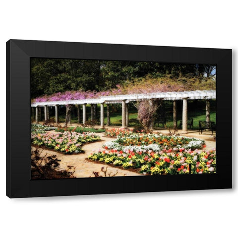 Spring Formality II Black Modern Wood Framed Art Print by Hausenflock, Alan