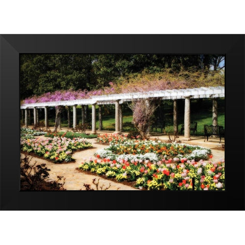 Spring Formality II Black Modern Wood Framed Art Print by Hausenflock, Alan