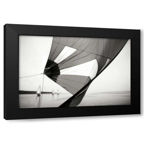 Downwind II Black Modern Wood Framed Art Print by Hausenflock, Alan