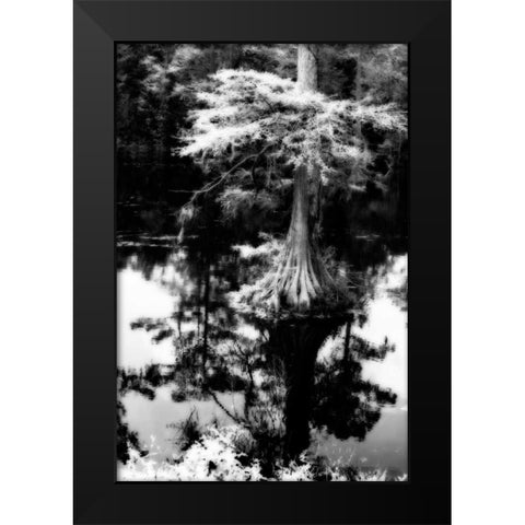 Trenton Cyprus I Black Modern Wood Framed Art Print by Hausenflock, Alan