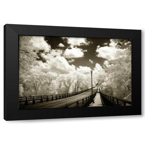 Boulevard Bridge I Black Modern Wood Framed Art Print with Double Matting by Hausenflock, Alan