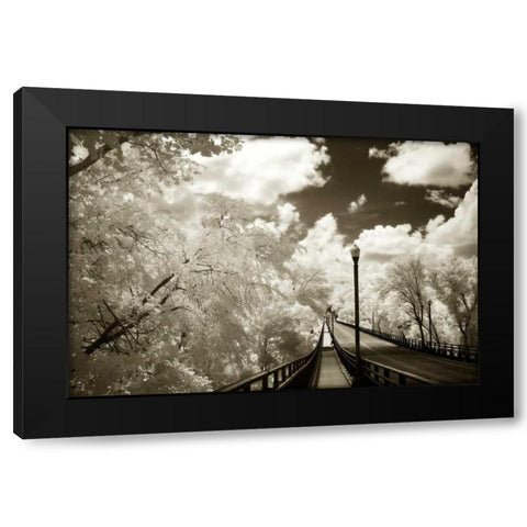 Boulevard Bridge II Black Modern Wood Framed Art Print by Hausenflock, Alan