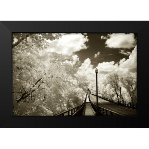 Boulevard Bridge II Black Modern Wood Framed Art Print by Hausenflock, Alan