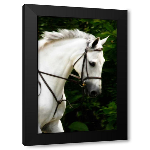 Phantom II Black Modern Wood Framed Art Print by Hausenflock, Alan