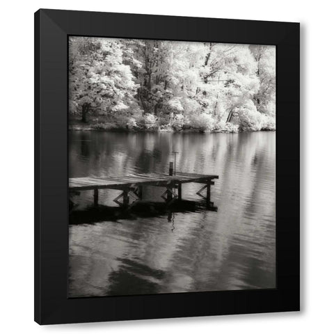Mint Springs Lake BW V Black Modern Wood Framed Art Print by Hausenflock, Alan