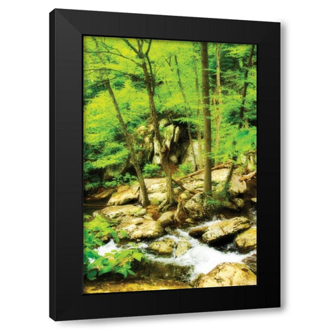 White Oak River II Black Modern Wood Framed Art Print by Hausenflock, Alan
