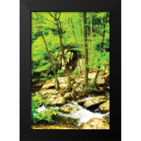 White Oak River II Black Modern Wood Framed Art Print by Hausenflock, Alan