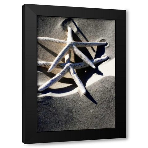 Sea Stars I Black Modern Wood Framed Art Print by Hausenflock, Alan