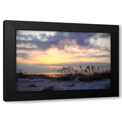 Masonboro Inlet I Black Modern Wood Framed Art Print with Double Matting by Hausenflock, Alan