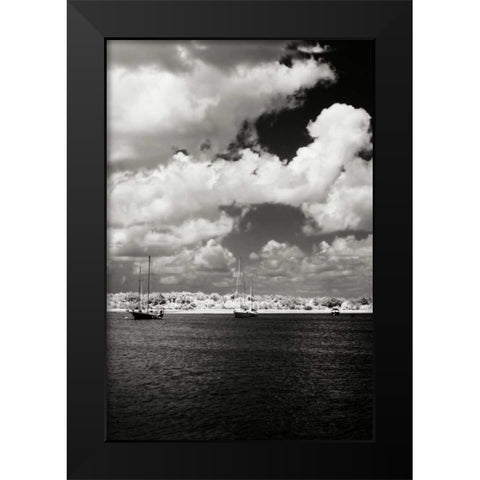 Everette Bay IV Black Modern Wood Framed Art Print by Hausenflock, Alan