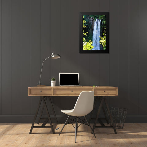 Falling Springs I Black Modern Wood Framed Art Print by Hausenflock, Alan