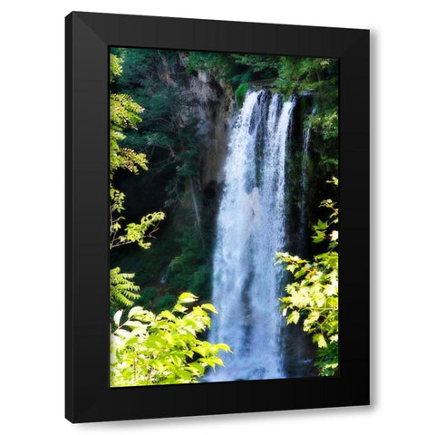 Falling Springs I Black Modern Wood Framed Art Print by Hausenflock, Alan