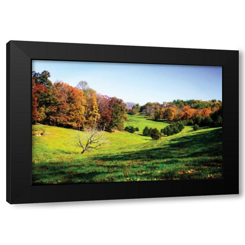 Virginia Hills I Black Modern Wood Framed Art Print by Hausenflock, Alan