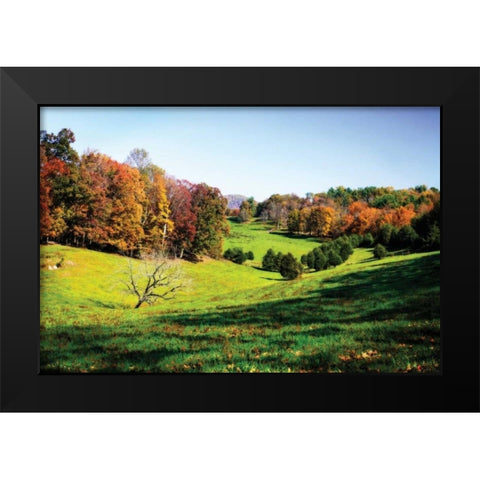 Virginia Hills I Black Modern Wood Framed Art Print by Hausenflock, Alan