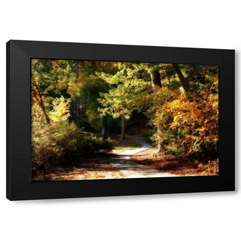 Autumn Pathway I Black Modern Wood Framed Art Print with Double Matting by Hausenflock, Alan