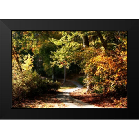 Autumn Pathway I Black Modern Wood Framed Art Print by Hausenflock, Alan