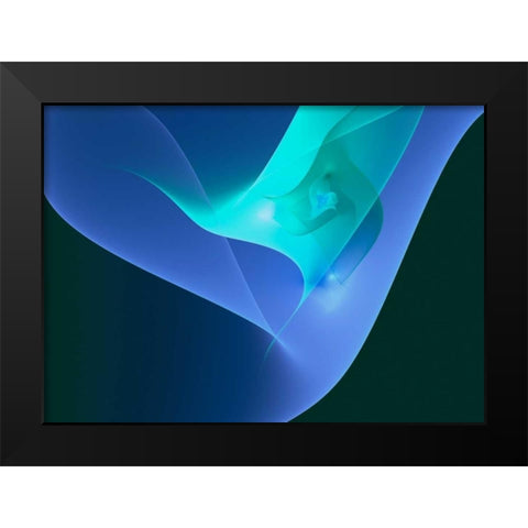 Diffusion Black Modern Wood Framed Art Print by Hausenflock, Alan