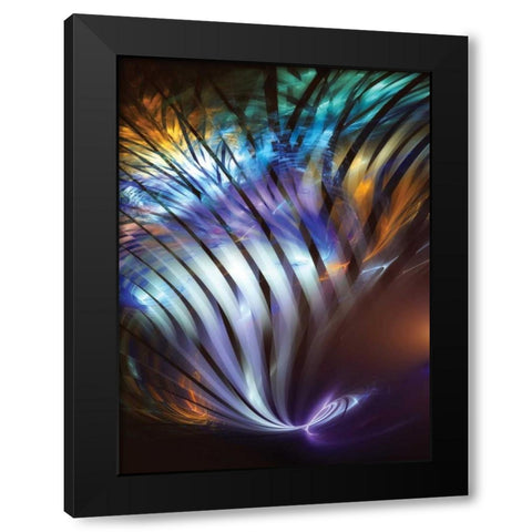 Plumage II Black Modern Wood Framed Art Print by Hausenflock, Alan