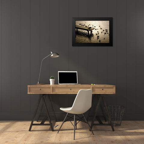 Feeding the Geese II Black Modern Wood Framed Art Print by Hausenflock, Alan
