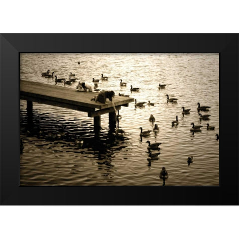 Feeding the Geese II Black Modern Wood Framed Art Print by Hausenflock, Alan