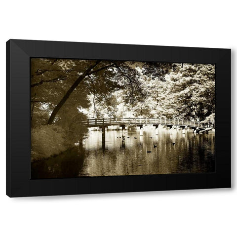 Westhampton Lake II Black Modern Wood Framed Art Print with Double Matting by Hausenflock, Alan