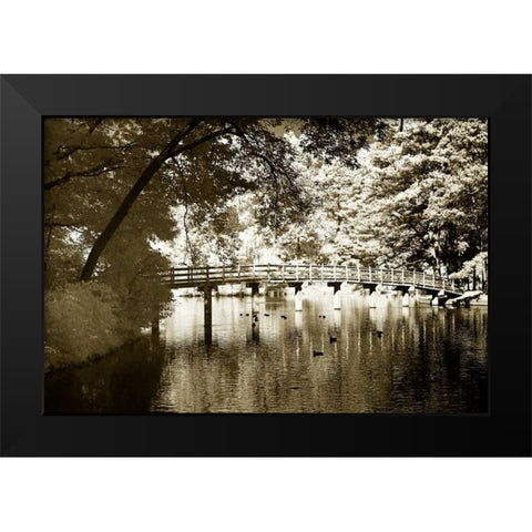 Westhampton Lake II Black Modern Wood Framed Art Print by Hausenflock, Alan