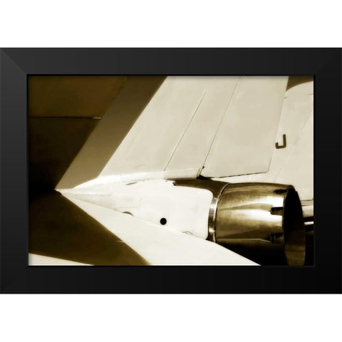 Tomcat II Black Modern Wood Framed Art Print by Hausenflock, Alan