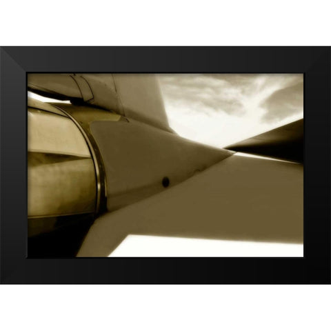 Tomcat III Black Modern Wood Framed Art Print by Hausenflock, Alan