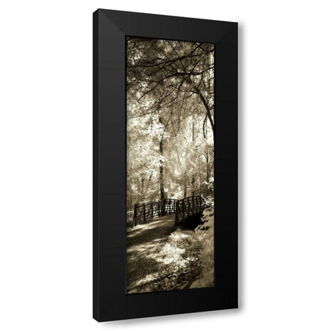 Summer Bridge Panel Black Modern Wood Framed Art Print by Hausenflock, Alan