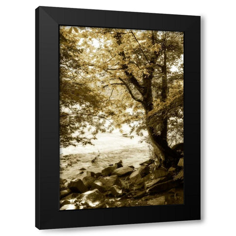 By the River Wide I Black Modern Wood Framed Art Print by Hausenflock, Alan