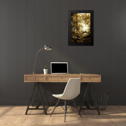 By the River Wide II Black Modern Wood Framed Art Print by Hausenflock, Alan