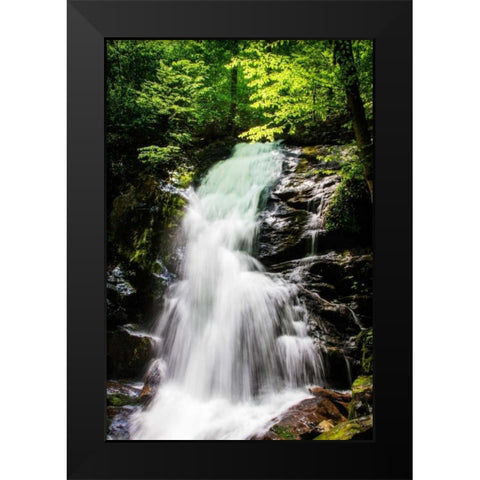 Deep Woods Waterfall II Black Modern Wood Framed Art Print by Hausenflock, Alan