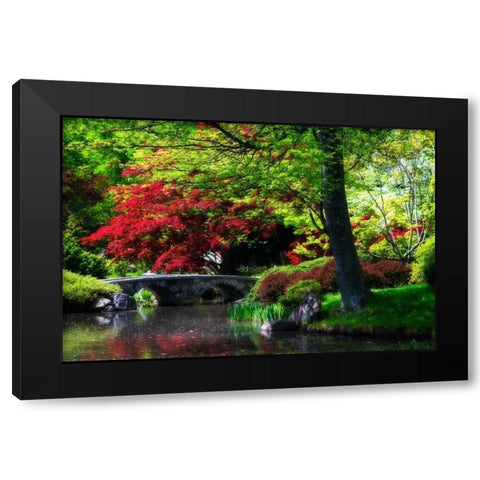 Meisho Garden I Black Modern Wood Framed Art Print with Double Matting by Hausenflock, Alan