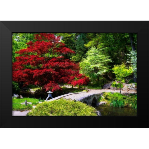 Meisho Garden II Black Modern Wood Framed Art Print by Hausenflock, Alan