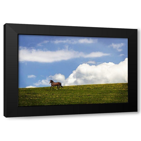 Horses in the Clouds I Black Modern Wood Framed Art Print with Double Matting by Hausenflock, Alan
