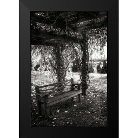 Winter Arbor I Black Modern Wood Framed Art Print by Hausenflock, Alan