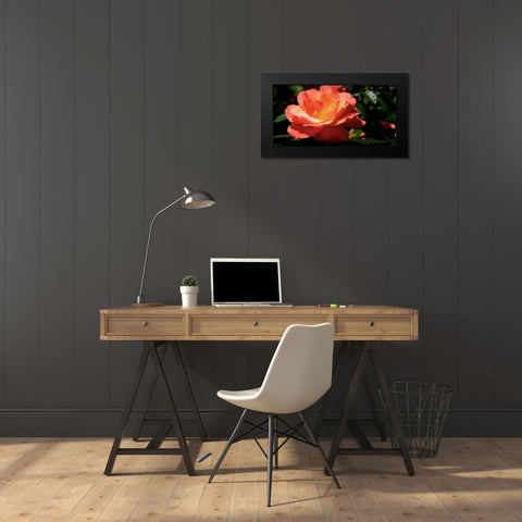 Queen of Flowers II Black Modern Wood Framed Art Print by Hausenflock, Alan