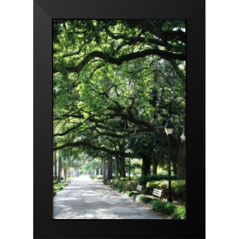 Savannah Sidewalk I Black Modern Wood Framed Art Print by Hausenflock, Alan