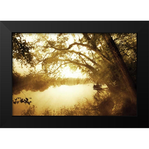 River Oaks II Black Modern Wood Framed Art Print by Hausenflock, Alan