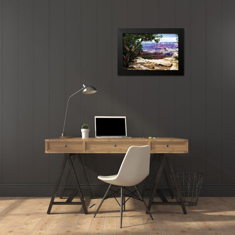 The Canyon I Black Modern Wood Framed Art Print by Hausenflock, Alan