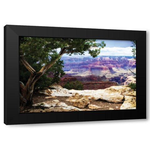 The Canyon I Black Modern Wood Framed Art Print by Hausenflock, Alan