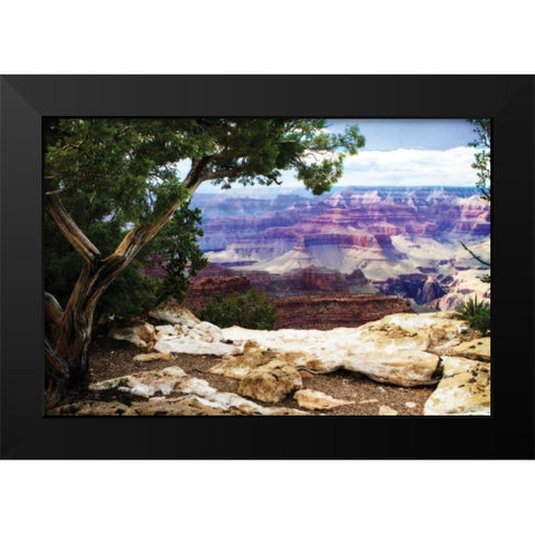 The Canyon I Black Modern Wood Framed Art Print by Hausenflock, Alan