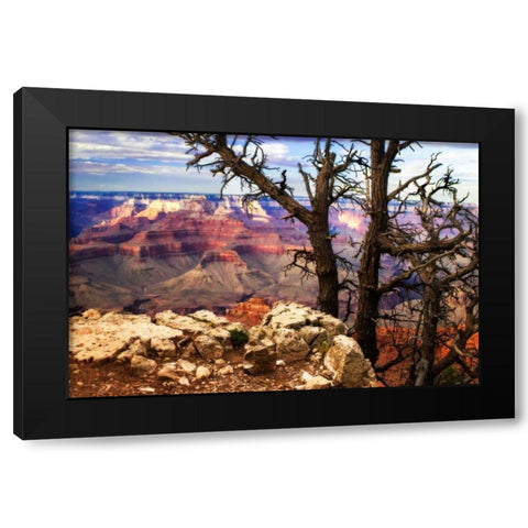 The Caynon IV Black Modern Wood Framed Art Print with Double Matting by Hausenflock, Alan
