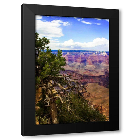 The Canyon Rim II Black Modern Wood Framed Art Print by Hausenflock, Alan