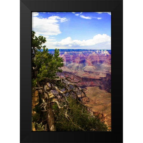 The Canyon Rim II Black Modern Wood Framed Art Print by Hausenflock, Alan