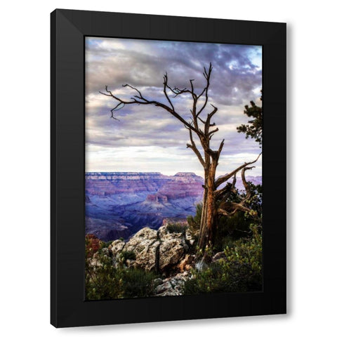 Evening on the Rim I Black Modern Wood Framed Art Print by Hausenflock, Alan