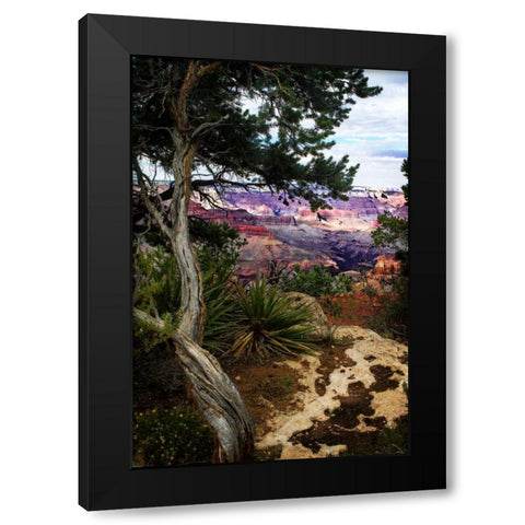 Eveing on the Rim II Black Modern Wood Framed Art Print by Hausenflock, Alan