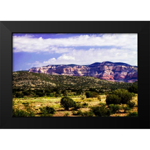 The High Desert II Black Modern Wood Framed Art Print by Hausenflock, Alan